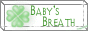 Baby's Breath/梨音(Rion)様
